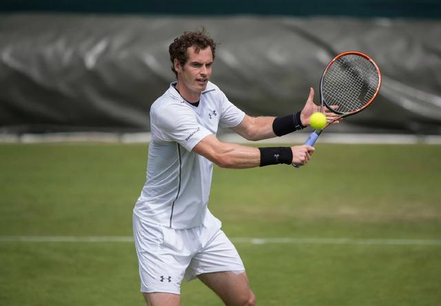 PG游戏APP-澳网力克温网，穆雷点燃赛场的简单介绍